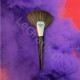 ECONTOUR Fan brush for sweeping the face